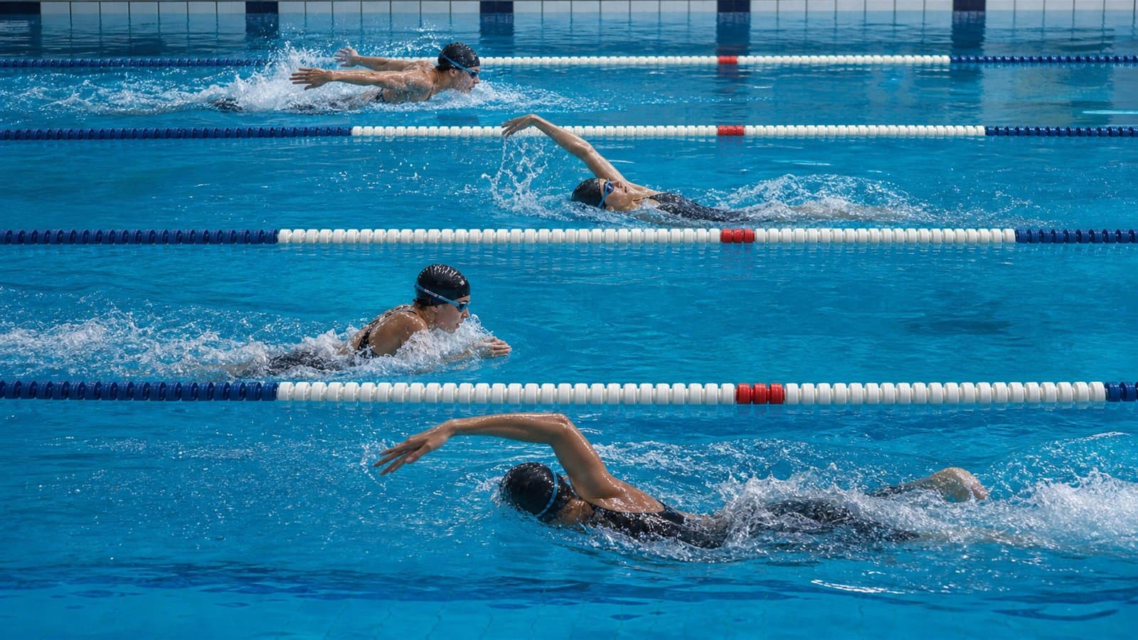 Nageurs travaillant différentes nages dans un bassin de compétition.